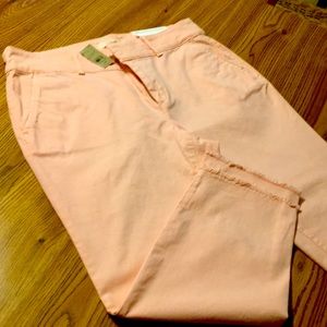 12petite Loft girlfriend chino. NEW